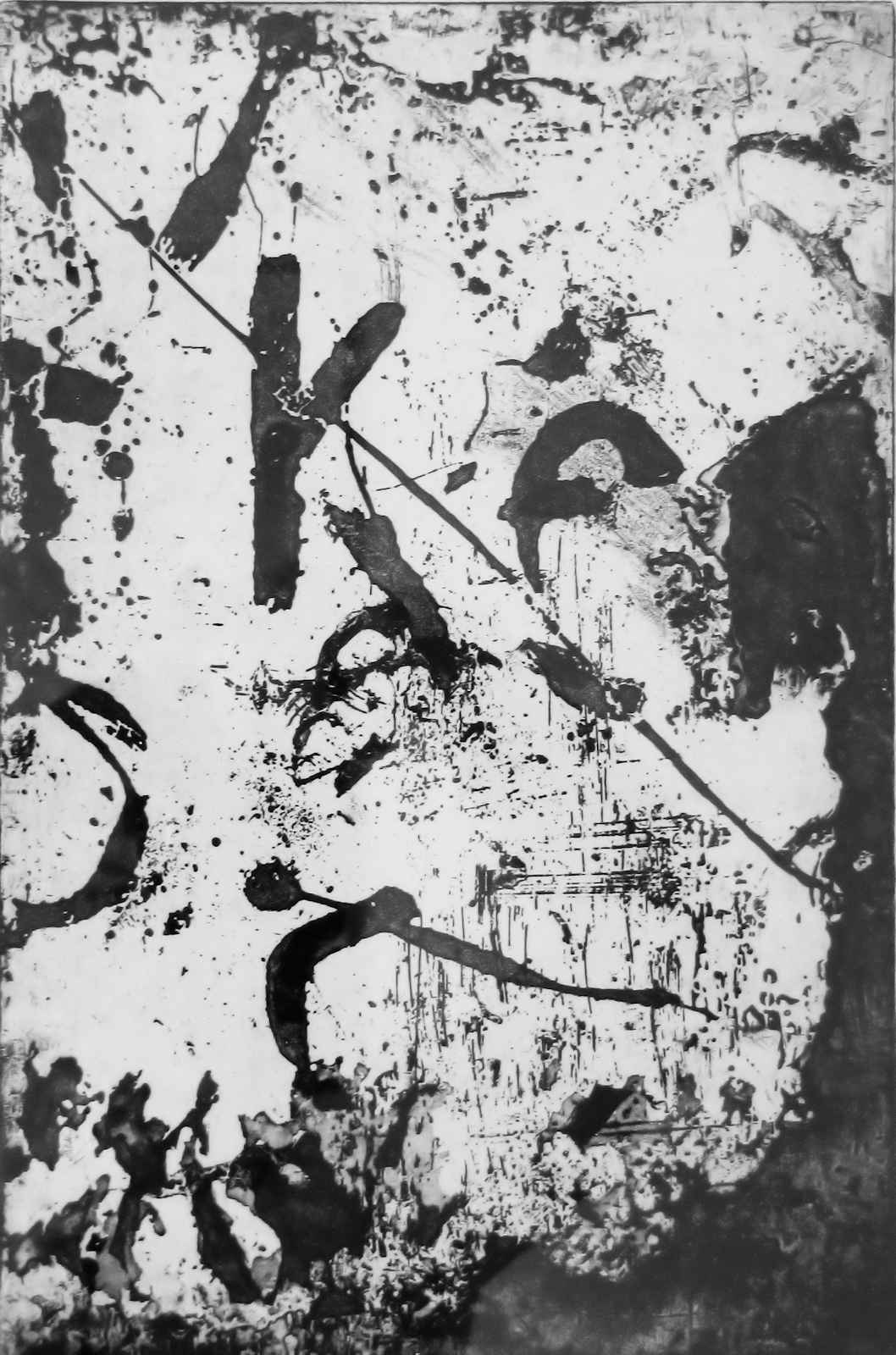 Kerstin 1988   Intaglio (aquatint etching) on paper, edition of 5 26 x 40 cm