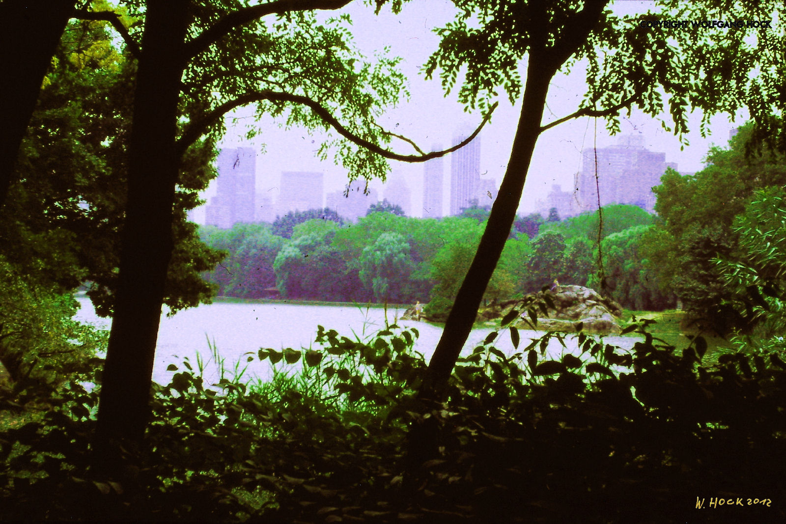 Central Park 2012   Inkjet printed photographic mixed media on paper, 67 x 45 cm