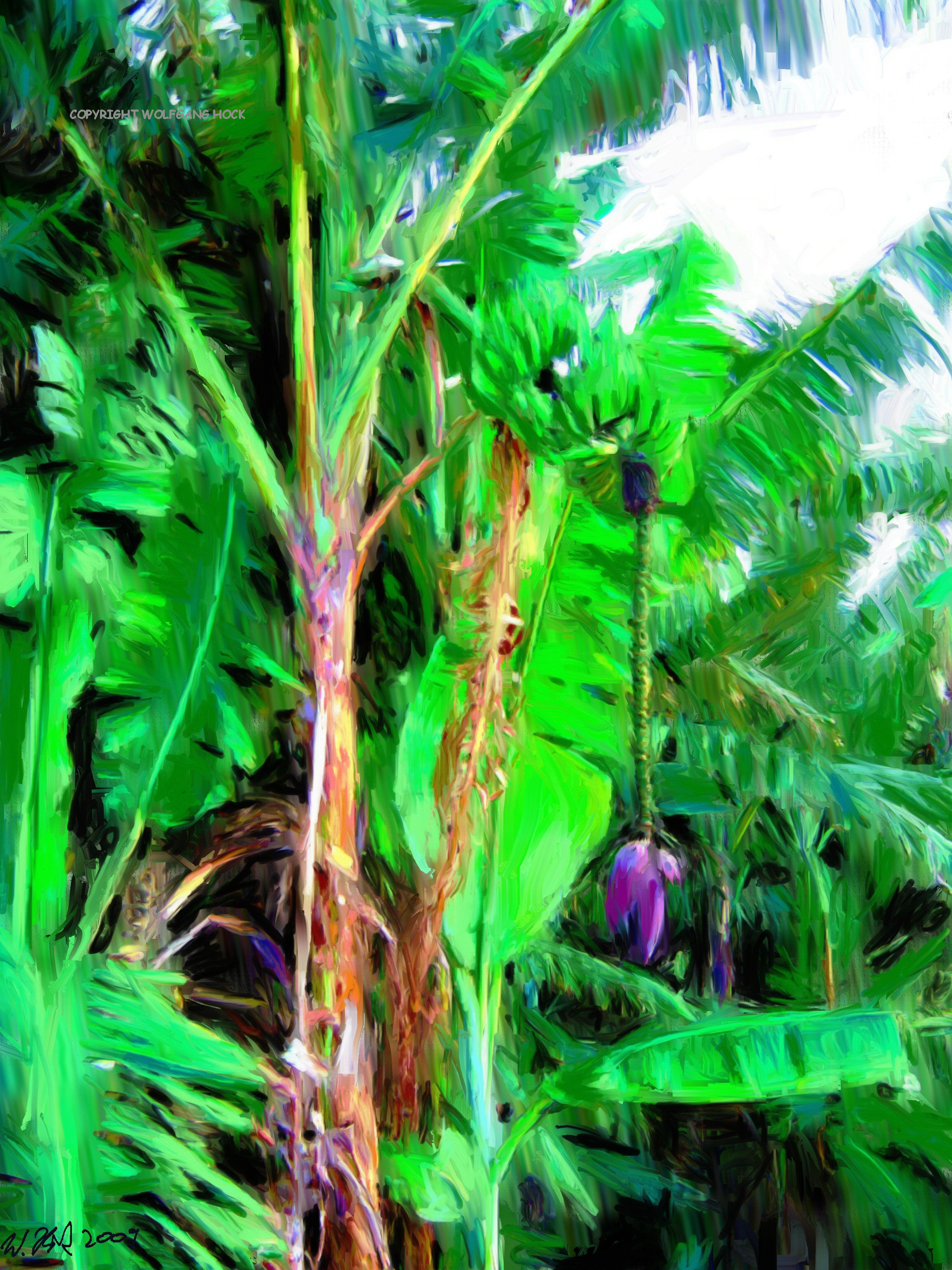 Banana tree 2009   Inkjet printed computer painting on paper, edition of 5 60 x 44 cm (7,5 megapixel)